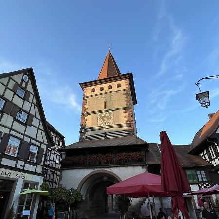 Coucou - Nest Im Schwarzwald Apartment Gengenbach Luaran gambar